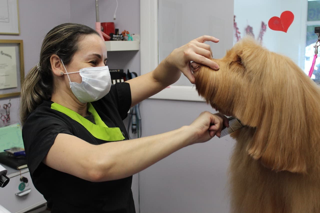 Pet Spa Full Grooming